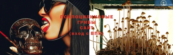 spice Волоколамск