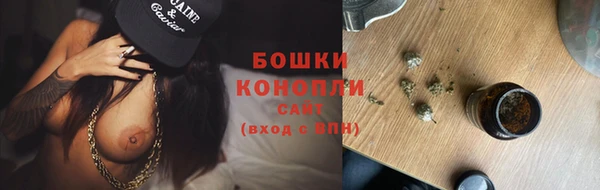 PSILOCYBIN Верхний Тагил
