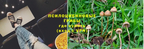 spice Волоколамск