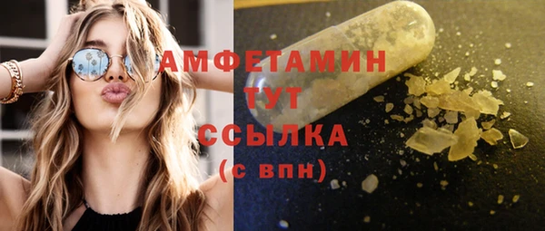 прущие грибы Верея
