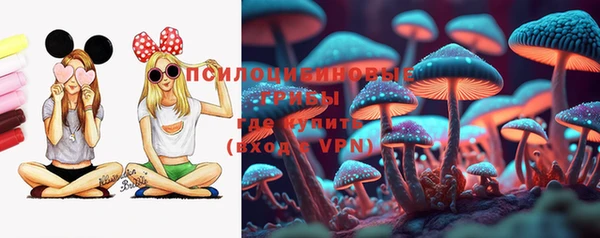 spice Волоколамск