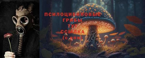 spice Волоколамск